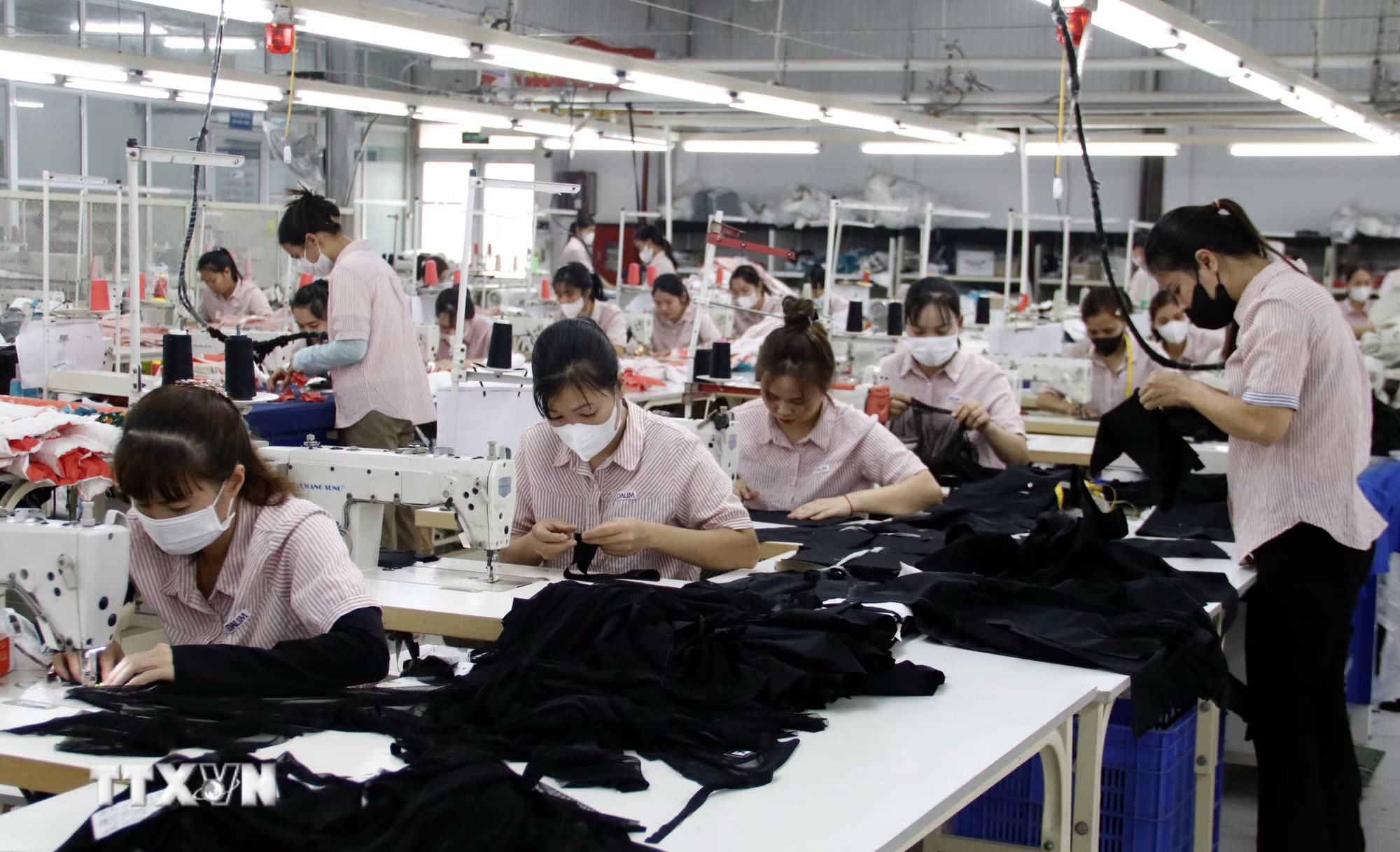 Sau cột mốc thu nhập trung bình cao, Việt Nam cần làm gì?- Ảnh 3. Sau cột mốc thu nhập trung bình cao, Việt Nam cần làm gì?- Ảnh 3.