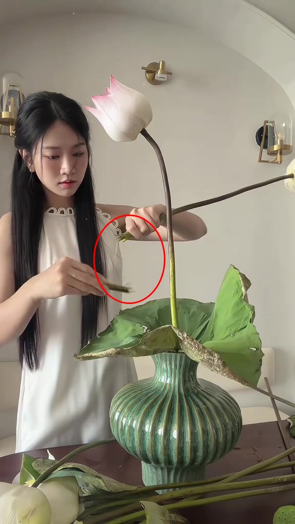 Lê Bống cắm hoa sen “chọc giận” 1 triệu người- Ảnh 3.