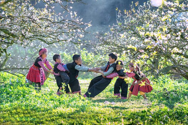 Ai cũng nghĩ là Sa Pa, đây mới là nơi duy nhất 3 lần được vinh danh đẹp nhất thế giới: Cách Hà Nội 180km- Ảnh 2. Ai cũng nghĩ là Sa Pa, đây mới là nơi duy nhất 3 lần được vinh danh đẹp nhất thế giới: Cách Hà Nội 180km- Ảnh 2.