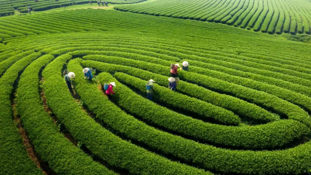Ai cũng nghĩ là Sa Pa, đây mới là nơi duy nhất 3 lần được vinh danh đẹp nhất thế giới: Cách Hà Nội 180km- Ảnh 1. Ai cũng nghĩ là Sa Pa, đây mới là nơi duy nhất 3 lần được vinh danh đẹp nhất thế giới: Cách Hà Nội 180km- Ảnh 1.