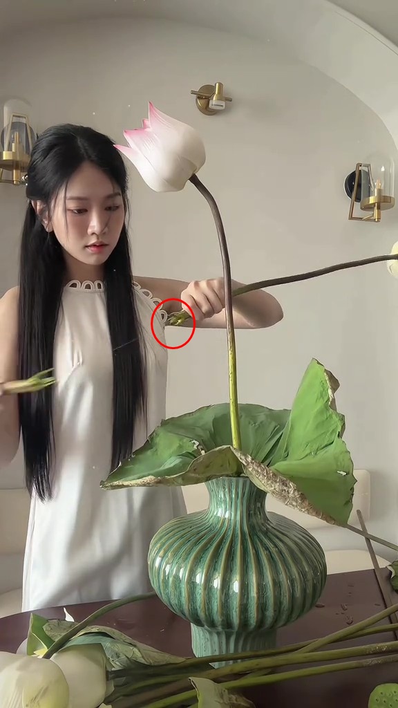 Lê Bống cắm hoa sen “chọc giận” 1 triệu người- Ảnh 4.