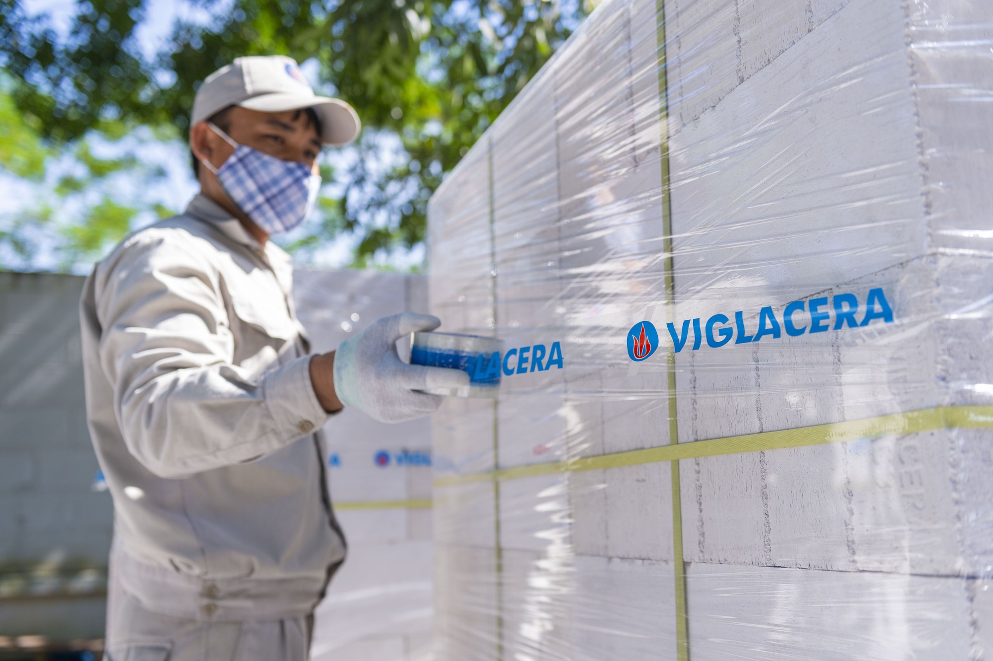 Viglacera chốt ngày trả cổ tức bằng tiền tỷ lệ 22% - Ảnh 1.