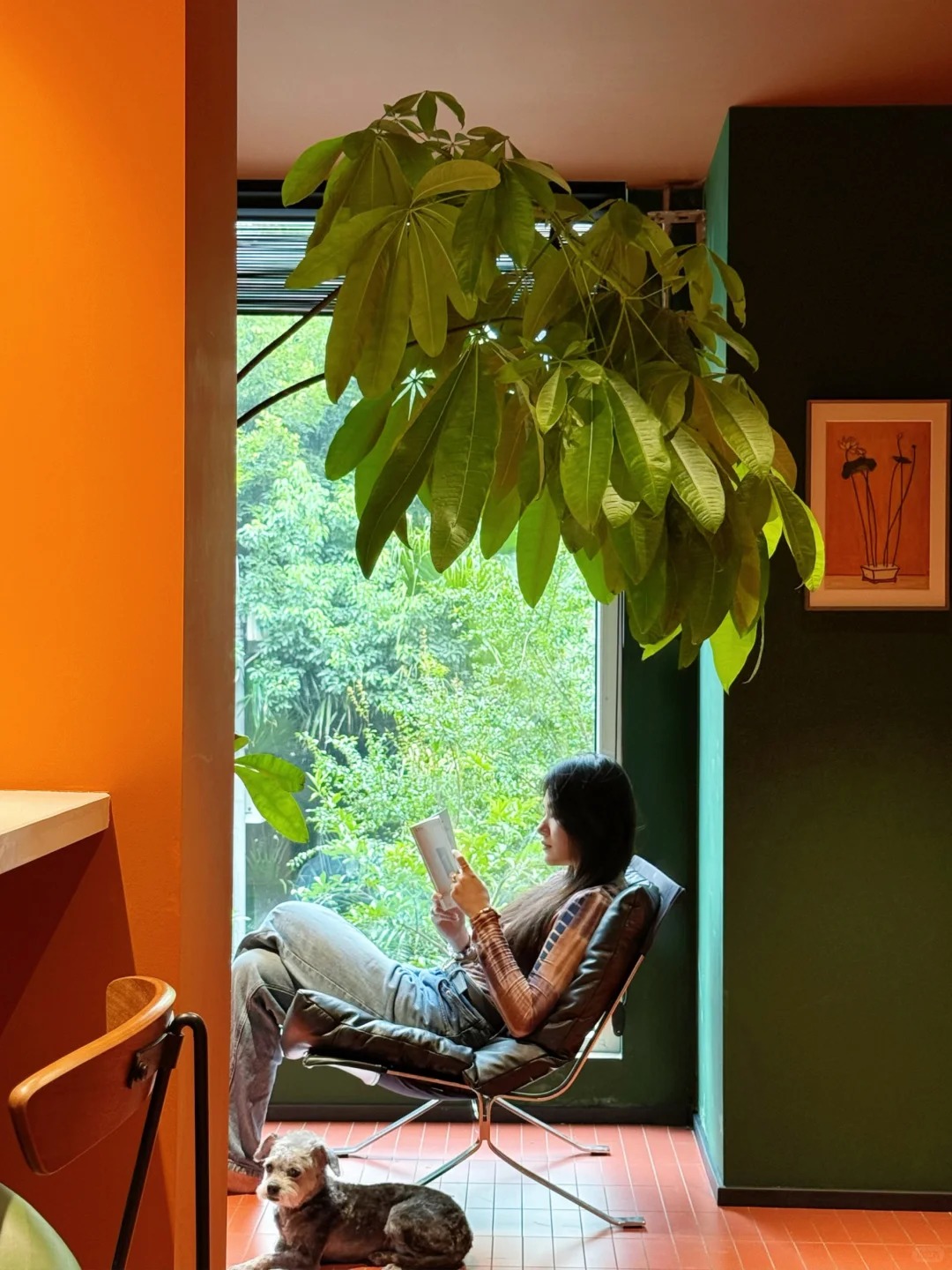 Cải tạo ban công 1m² thành phòng tắm, không đi làm vẫn sống rất chill: Cuộc sống khiến nhiều người tò mò- Ảnh 12.