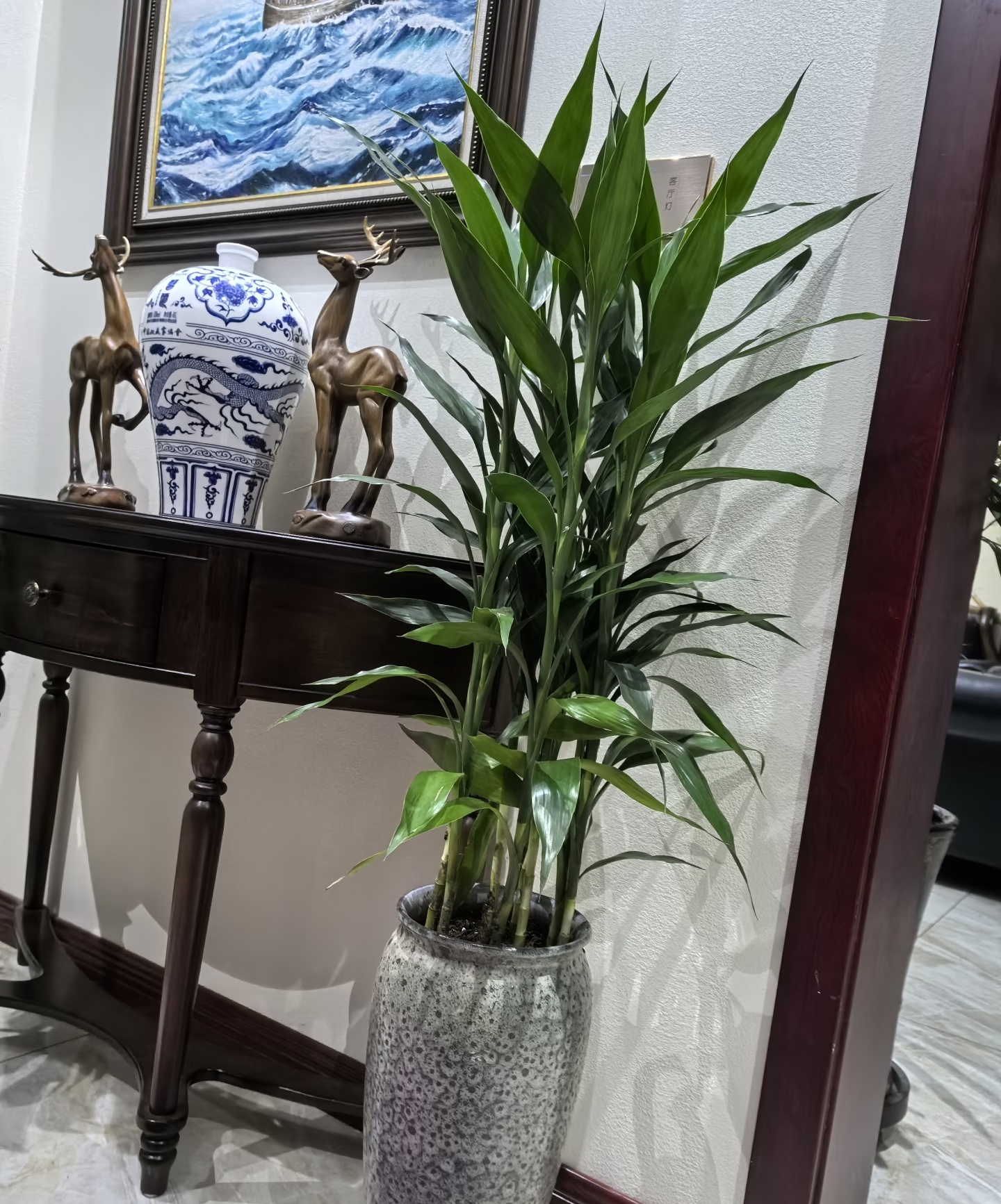 Vì sao người xưa luôn khuyên trồng 5 loại cây này trong nhà? Câu trả lời không chỉ nằm ở phong thủy- Ảnh 5.