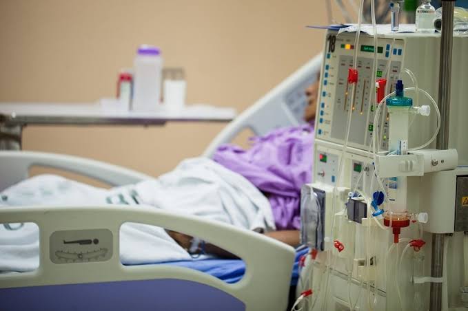 850 triệu người mắc bệnh thận: Việt Nam đang ở đâu giữa cuộc đua nghìn tỉ USD "thận nhân tạo" trên thế giới?- Ảnh 3.
