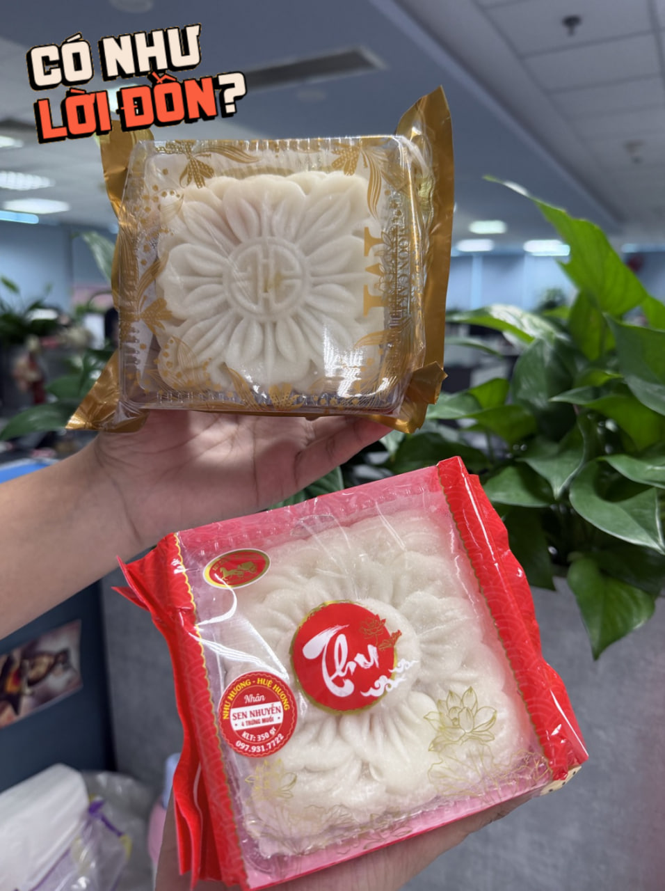 Quá đáng tiếc 2 phiên bản “bánh dẻo thị phi” mùa Trung thu 2026: Bản cũ lộm cộm ngọt gắt, bản mới bay sạch hương hoa đặc trưng - Ảnh 13.