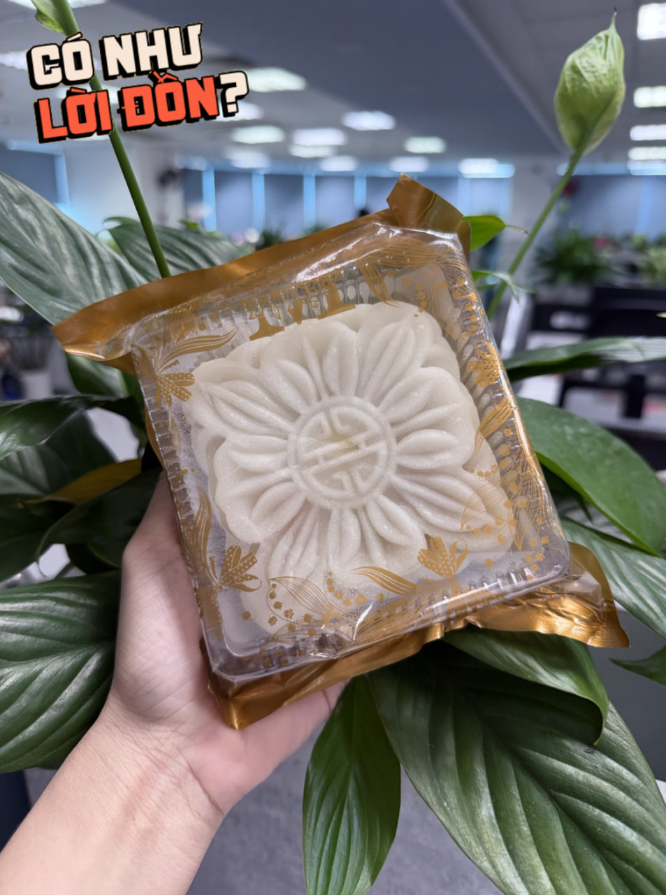 Quá đáng tiếc 2 phiên bản “bánh dẻo thị phi” mùa Trung thu 2026: Bản cũ lộm cộm ngọt gắt, bản mới bay sạch hương hoa đặc trưng - Ảnh 3.