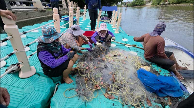 Loài cá khiến hàng loạt ao tôm trống rỗng, láng giềng Việt Nam huy động cả quan chức xuống bắt- Ảnh 3.