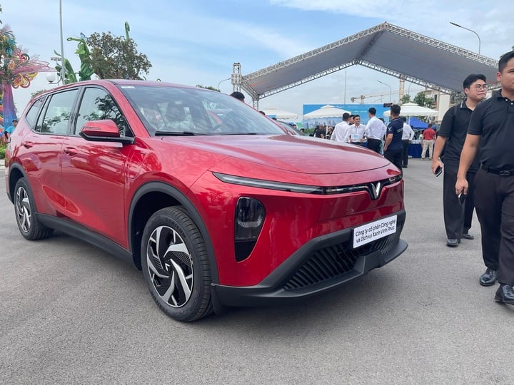 Thị trường xe Việt nửa đầu năm 2026: Xe điện tiếp tục là điểm sáng- Ảnh 2.