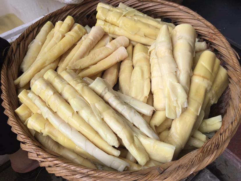 Đừng chủ quan với rau củ: 5 loại quen thuộc chứa độc tố tự nhiên, nấu chưa chín kỹ có thể gây ngộ độc - Ảnh 1.