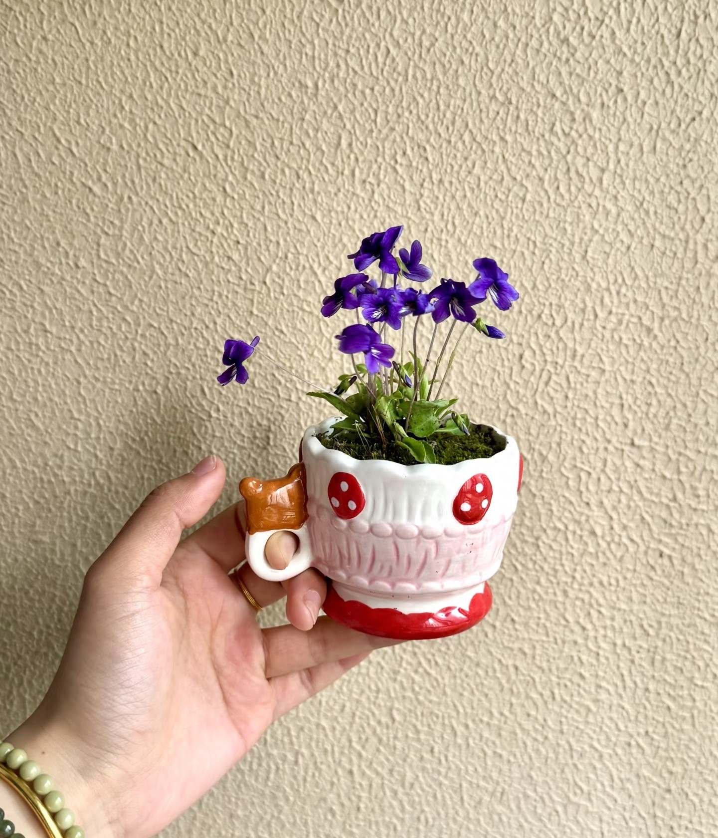 Tôi học được 4 mẹo trồng hoa "0 đồng" từ cư dân mạng: Không cần mua nhiều vẫn có ban công xanh mướt, hoa nở rực rỡ- Ảnh 1.
