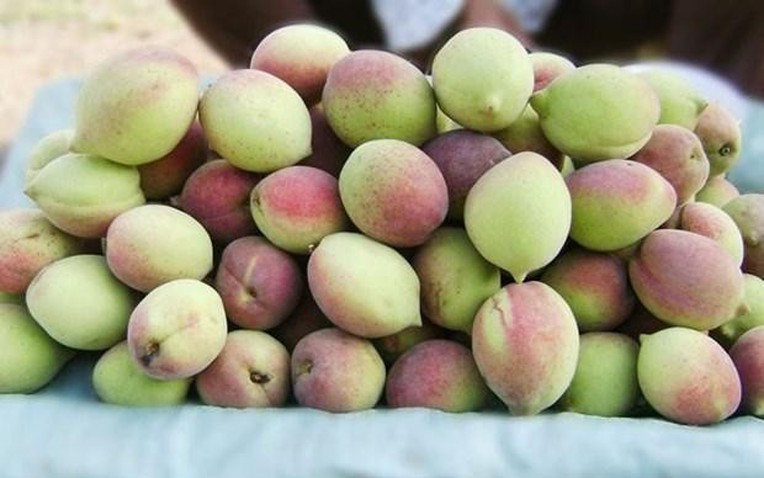 Loại quả "chống viêm tự nhiên", chỉ số đường huyết thấp đang bán đầy chợ Việt: Siêu bổ dưỡng, chuyên gia khuyên nên ăn nhiều- Ảnh 1.