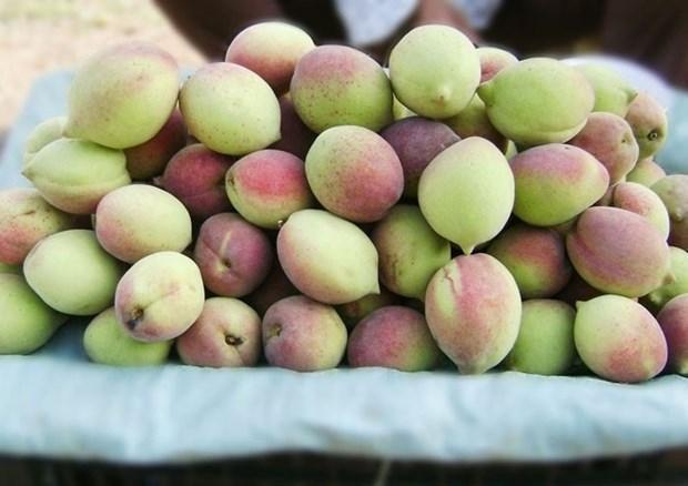 Loại quả "chống viêm tự nhiên", chỉ số đường huyết thấp đang bán đầy chợ Việt: Siêu bổ dưỡng, chuyên gia khuyên nên ăn nhiều- Ảnh 2.
