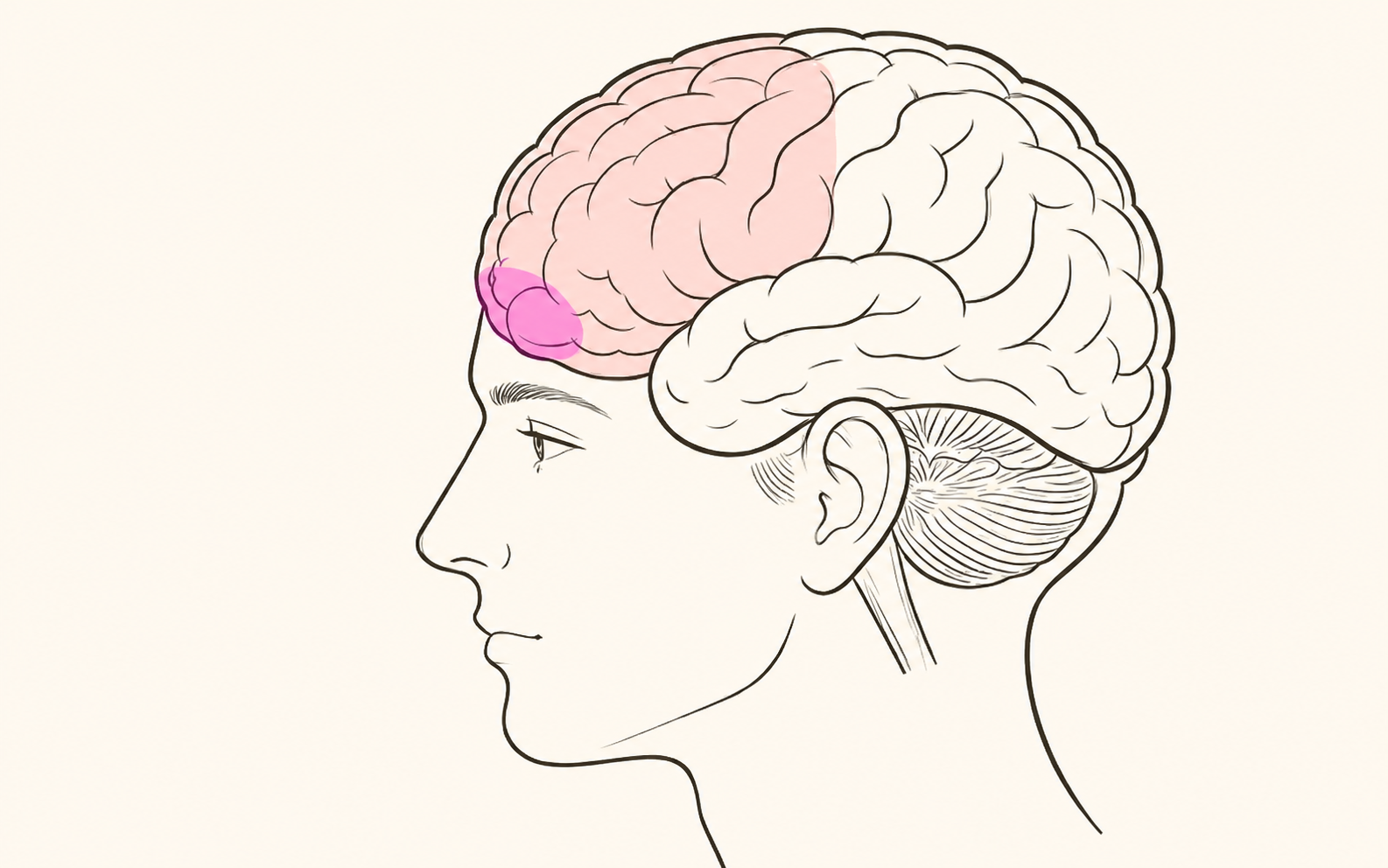 Điều quyết định tương lai của trẻ không phải IQ mà là BỘ PHẬN đặc biệt này: 8 cách giáo dục có thể theo con đến tuổi 25- Ảnh 1. Điều quyết định tương lai của trẻ không phải IQ mà là BỘ PHẬN đặc biệt này: 8 cách giáo dục có thể theo con đến tuổi 25- Ảnh 1.