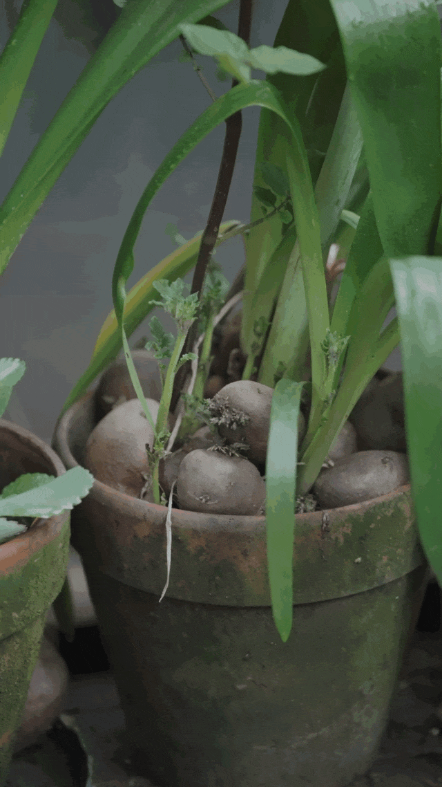 Ngày càng nhiều người trẻ không còn chi tiền để "khoe cuộc sống": Cô gái 9X sống một mình trong căn nhà 3 tầng cho thấy xu hướng mới là đầu tư vào chất lượng và sự tự do tài chính- Ảnh 9.