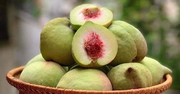 Loại quả "chống viêm tự nhiên", chỉ số đường huyết thấp đang bán đầy chợ Việt: Siêu bổ dưỡng, chuyên gia khuyên nên ăn nhiều- Ảnh 3.