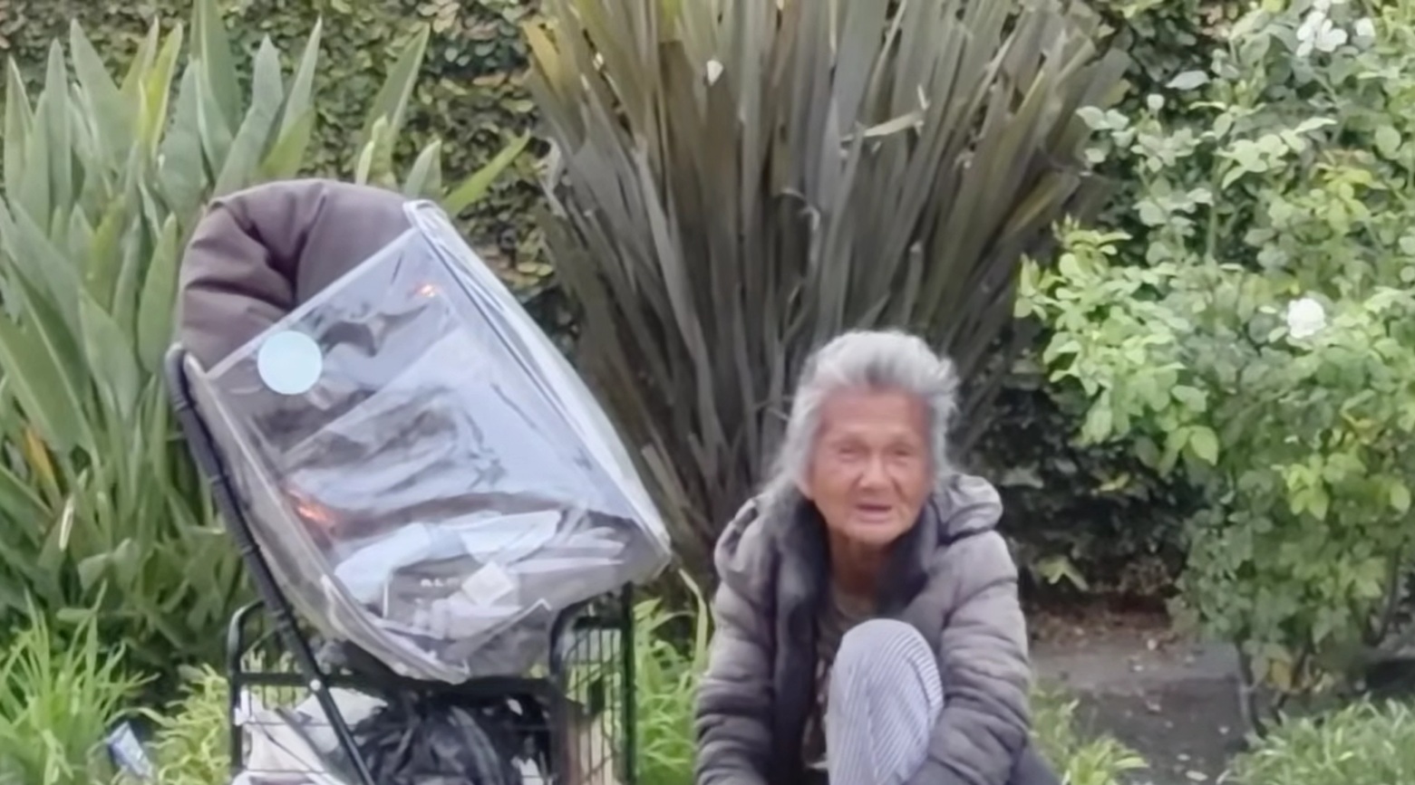 Mỹ nhân hải ngoại hóa điên, ngày càng tiều tụy, khác lạ - Ảnh 1.
