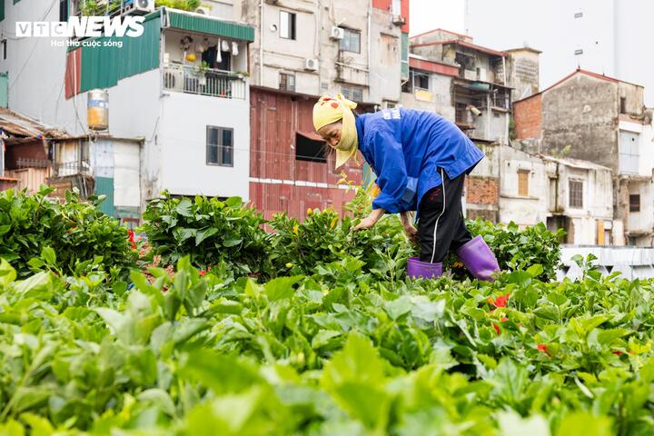 Hà Nội tăng tốc thi công đường 'đắt nhất hành tinh', quyết thông xe trước 2/9- Ảnh 7.