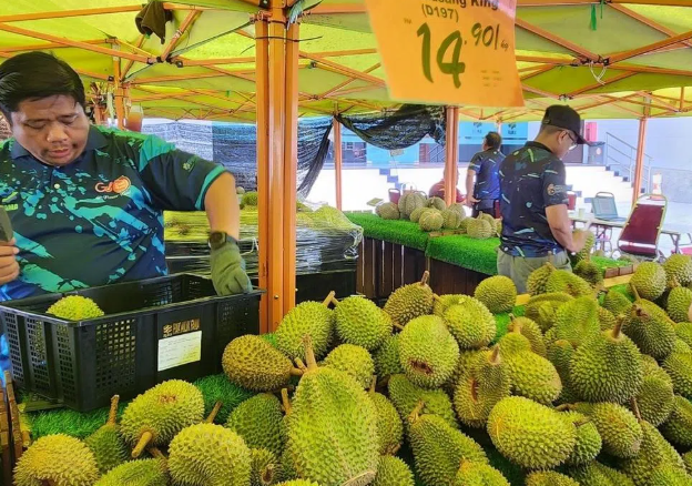 Quá nhiều sầu riêng, một đối thủ của Việt Nam tính mở tuyến đường bộ sang Trung Quốc để giảm chi phí, đang xuất khẩu 40 tấn mỗi ngày bằng máy bay- Ảnh 1. Quá nhiều sầu riêng, một đối thủ của Việt Nam tính mở tuyến đường bộ sang Trung Quốc để giảm chi phí, đang xuất khẩu 40 tấn mỗi ngày bằng máy bay- Ảnh 1.