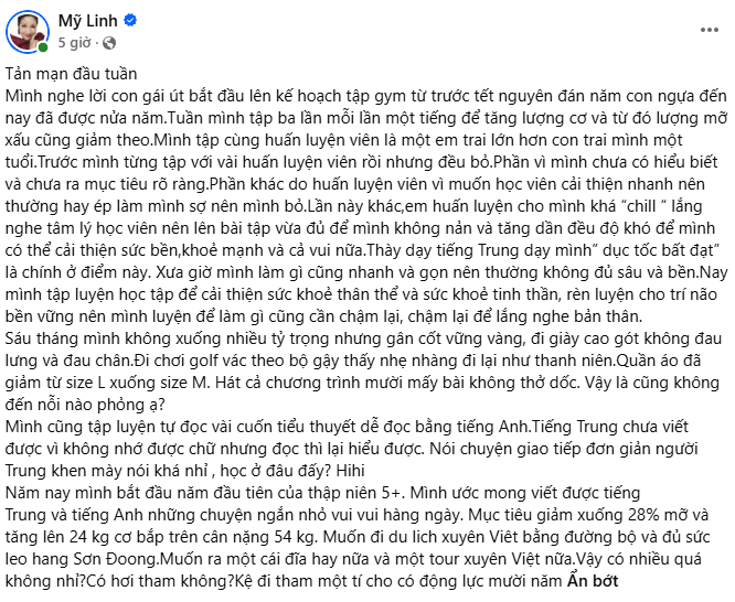 Tình hình hiện tại của Diva Mỹ Linh - Ảnh 1.