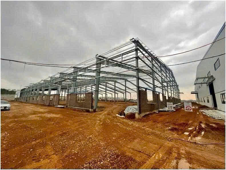 Phú Thọ: Khởi tố giám đốc công ty vi phạm quy định về an toàn lao động gây hậu quả chết người - Ảnh 1.