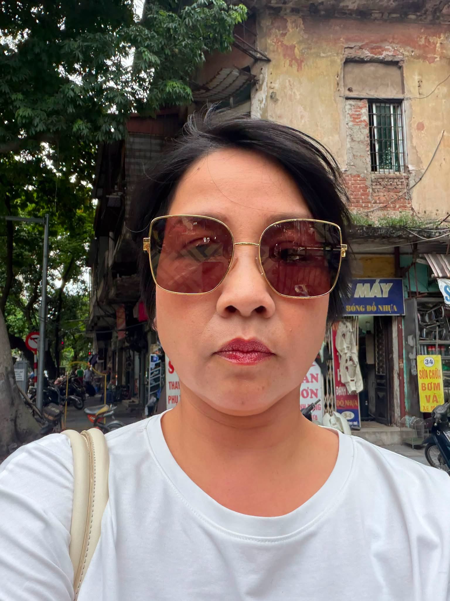 Mong ước của Mỹ Linh tuổi 51 - Ảnh 1.