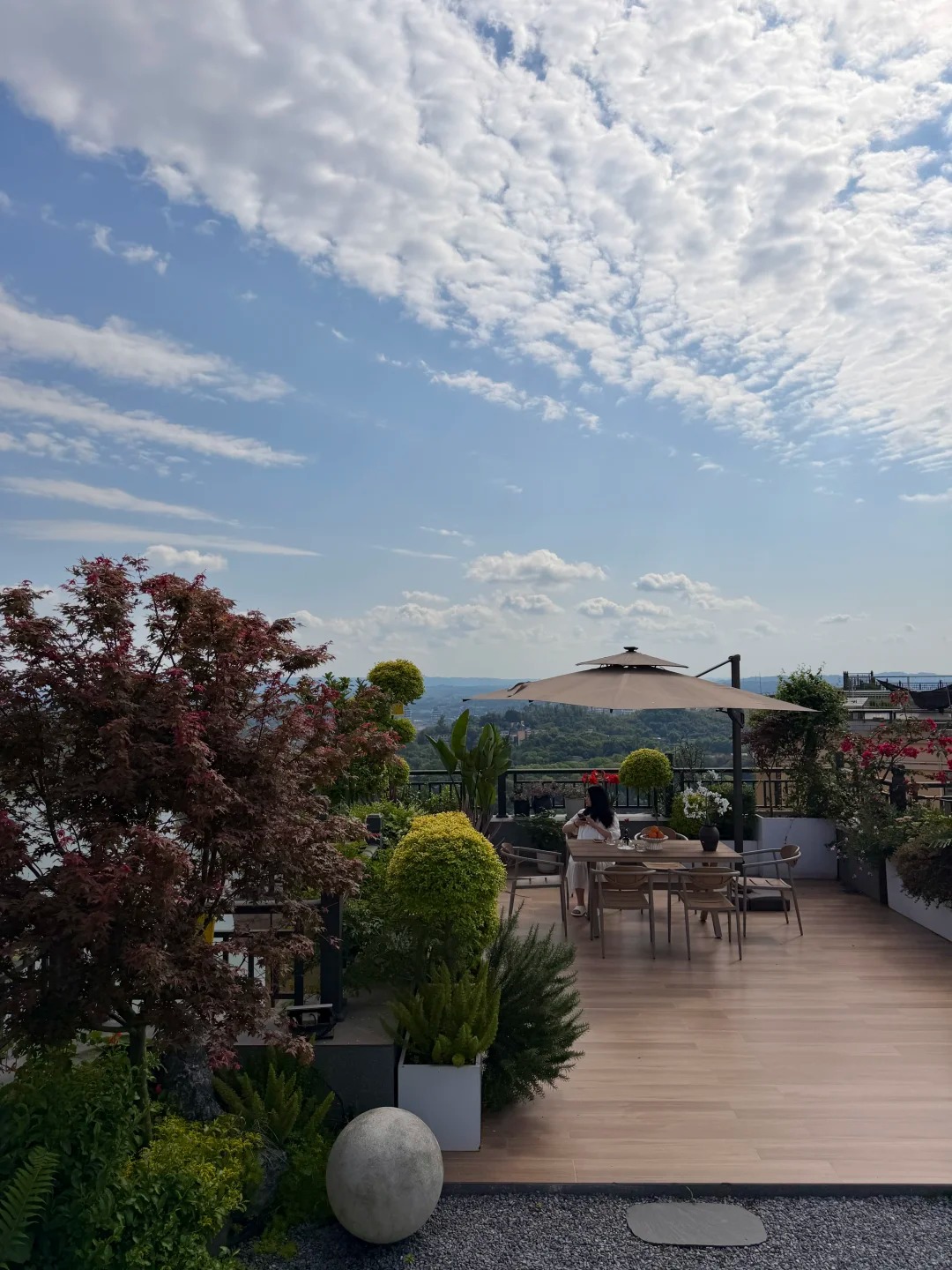 Vợ chồng trồng rau, nuôi cá trên sân thượng 100m2 của căn penthouse giá 3,7 tỷ - Ảnh 4.
