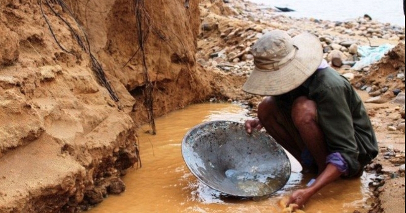 5 cây hợp người mệnh Hỏa - Ảnh 6.