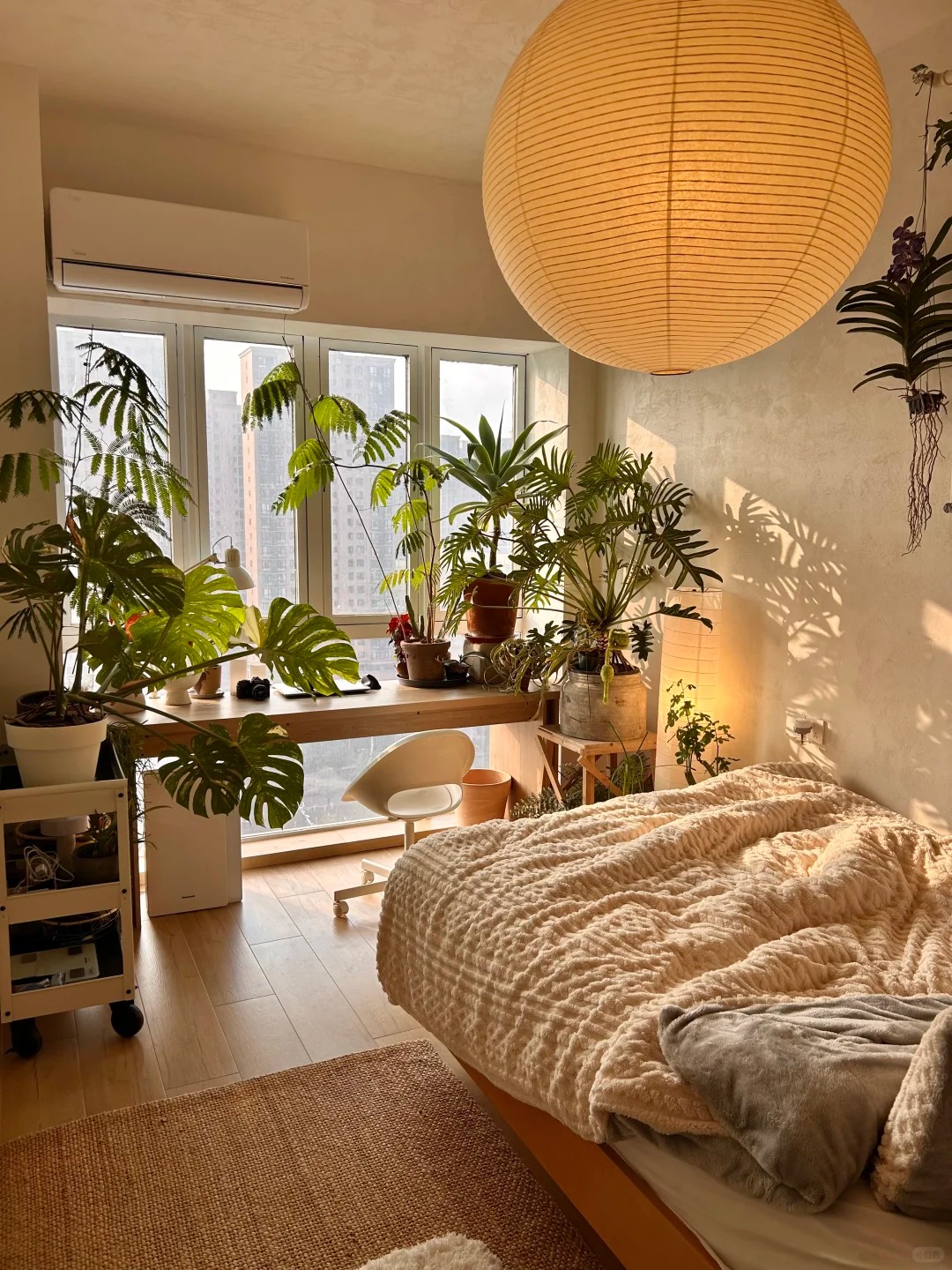 Căn hộ 35m² ngập tràn cây xanh của chàng trai độc thân - Ảnh 12.