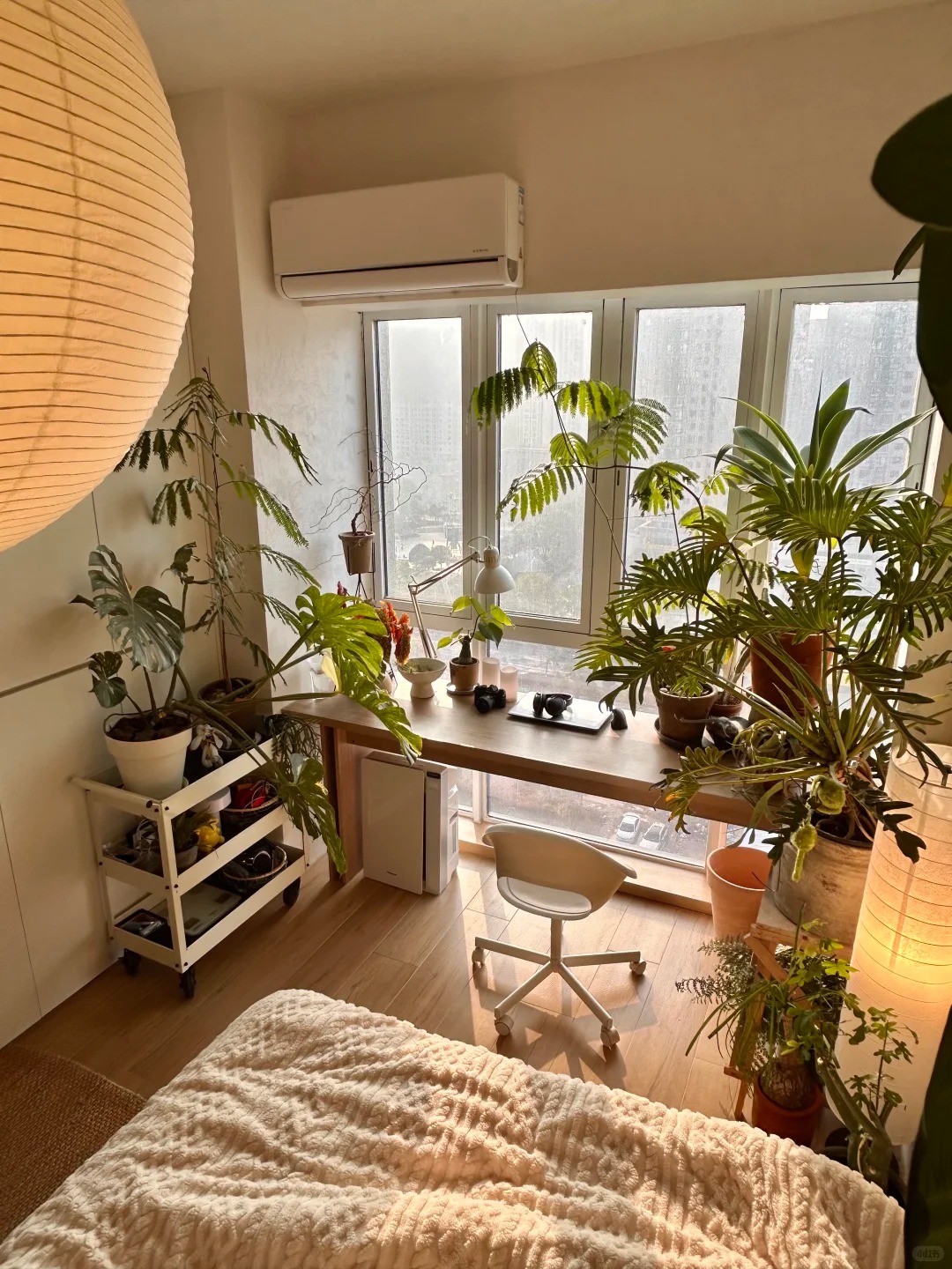 Căn hộ 35m² ngập tràn cây xanh của chàng trai độc thân - Ảnh 9.