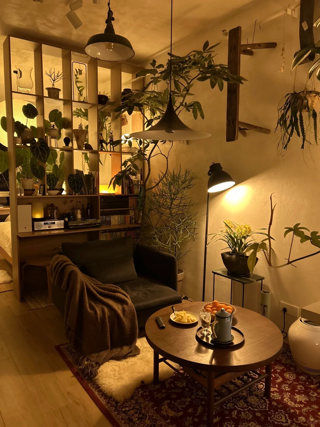 Căn hộ 35m² ngập tràn cây xanh của chàng trai độc thân - Ảnh 4.