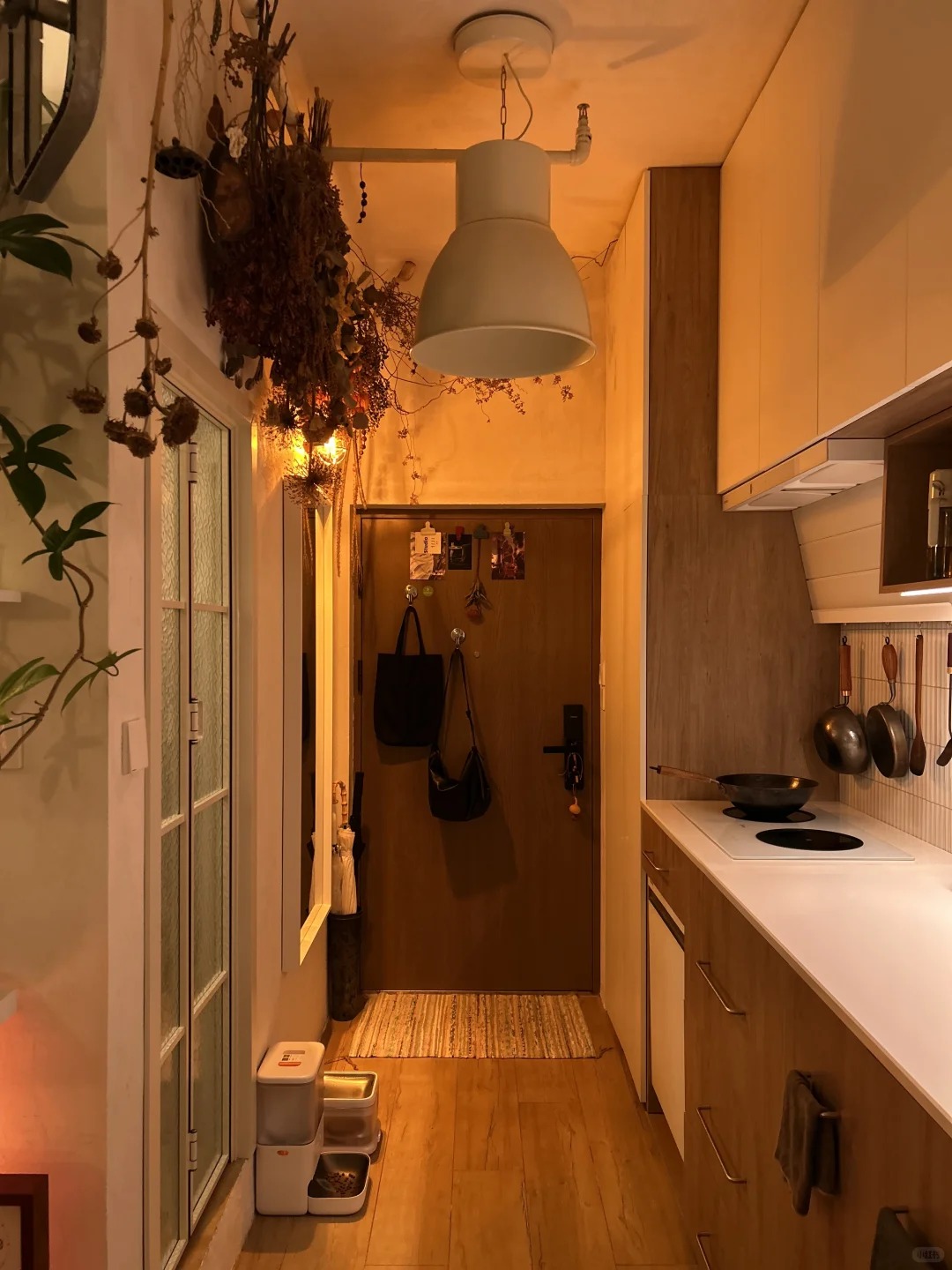 Căn hộ 35m² ngập tràn cây xanh của chàng trai độc thân - Ảnh 3.