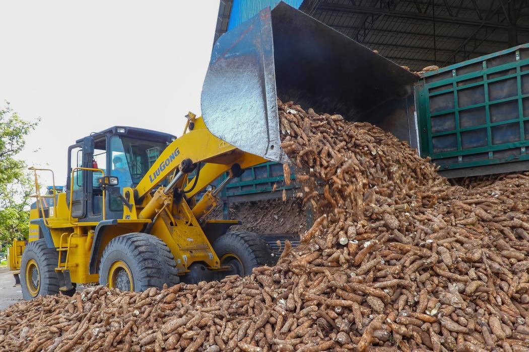 Ẩn số dưới lòng đất Việt Nam: "Mỏ vàng trắng" hứa hẹn bùng nổ tỷ USD - cú hích bắt đầu từ 2026 - Ảnh 4.