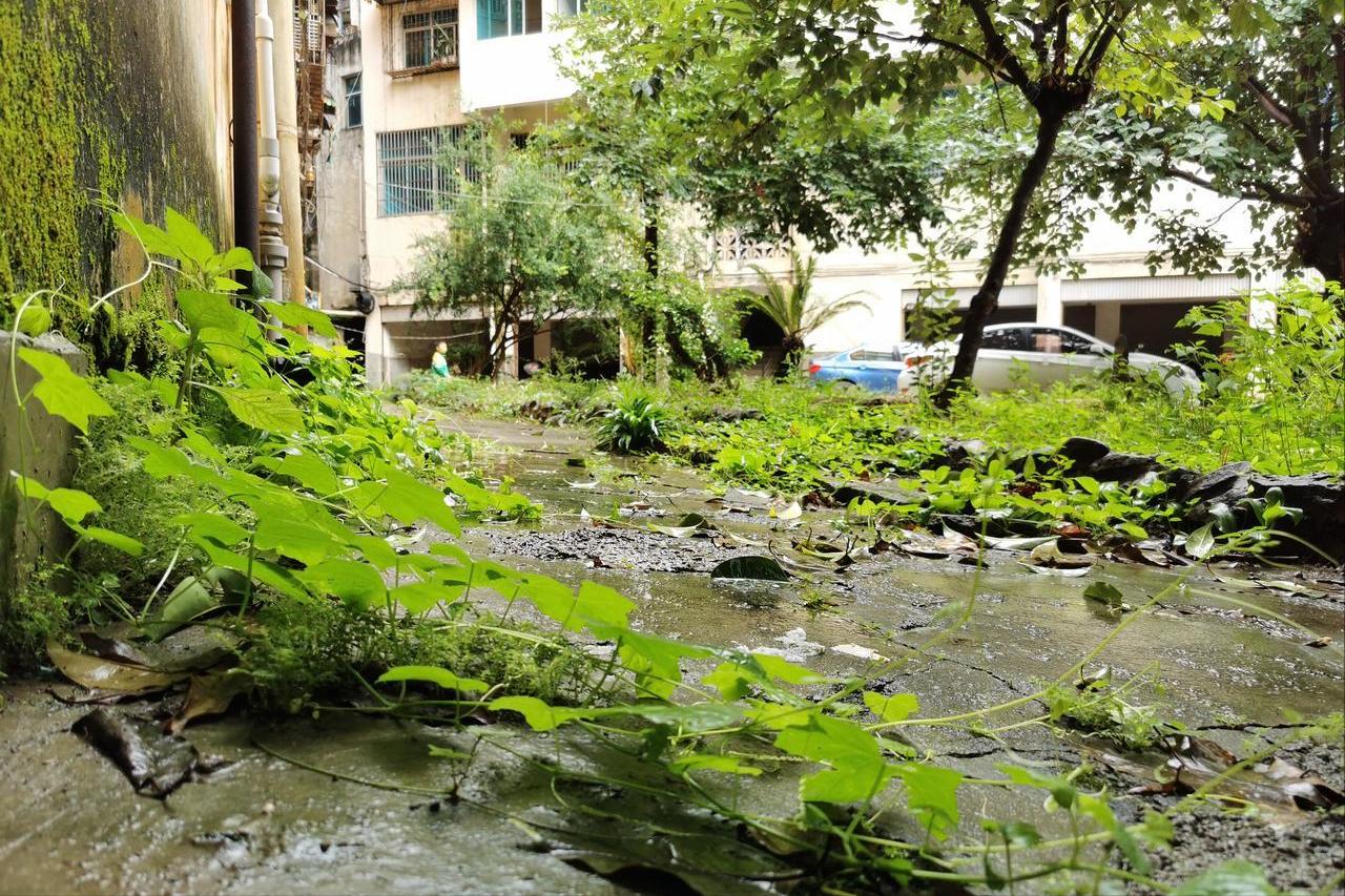 Bỏ hơn 1,8 tỷ đồng mua căn hộ tầng trệt có sân cho bố mẹ dưỡng già, tôi không ngờ chỉ sau chưa đầy 2 năm cả nhà đều hối hận- Ảnh 4.