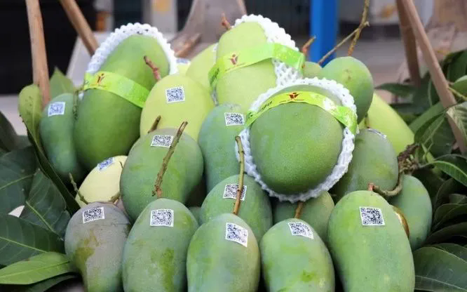 Bộ Công Thương sẽ thúc đẩy đối thoại với Hoa Kỳ sau kết luận thuế Mục 301 - Ảnh 1.