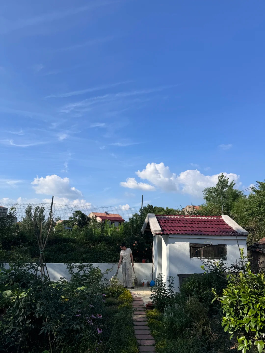 Cách "Pháp sư Trung Hoa" hô biến thứ 38 triệu thành nhà sân vườn ở quê ai nhìn cũng muốn sở hữu - Ảnh 14.