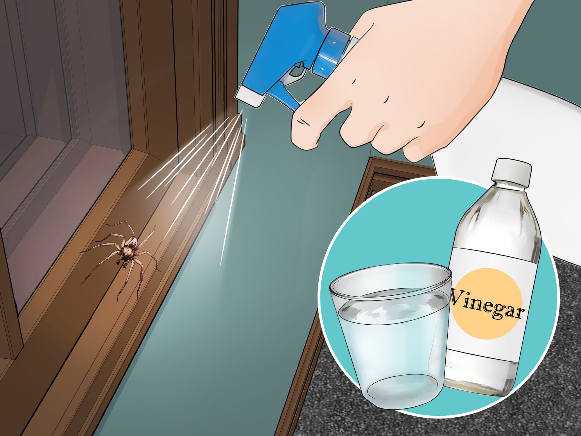 Vì sao nhiều người xịt giấm quanh cửa nhà mỗi tuần? Công dụng không chỉ để làm sạch- Ảnh 2.