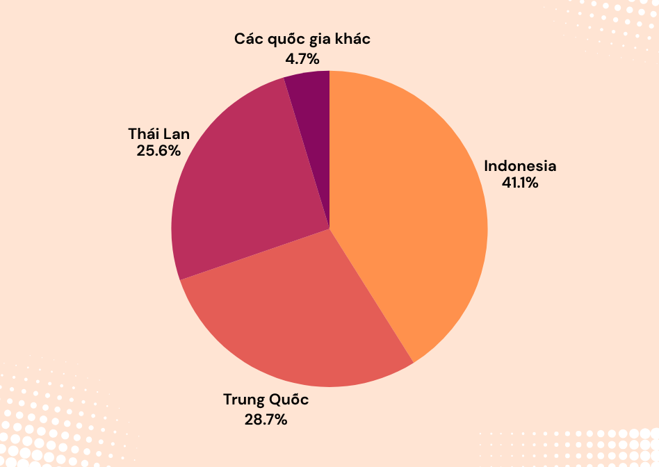 Không phải Trung Quốc, quốc gia này mới là nguồn cung ô tô lớn nhất vào Việt Nam - hàng loạt mẫu xe xăng bán chạy đều xuất xứ từ đây- Ảnh 2.