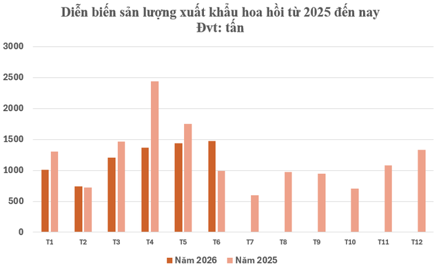 Đắt hơn sầu riêng, Việt Nam sở hữu một 'báu vật nông sản' giá gần 4.000 USD/tấn: Mỗi năm chỉ thu hoạch 2 vụ, nước ta cùng Trung Quốc là ông trùm của thế giới- Ảnh 2.