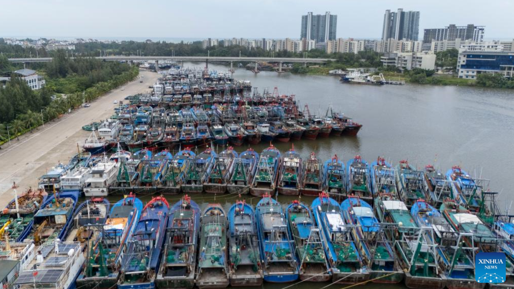 Bão Maysak đổ bộ đảo Hải Nam, Trung Quốc khẩn cấp ứng phó mưa lũ - Ảnh 1.