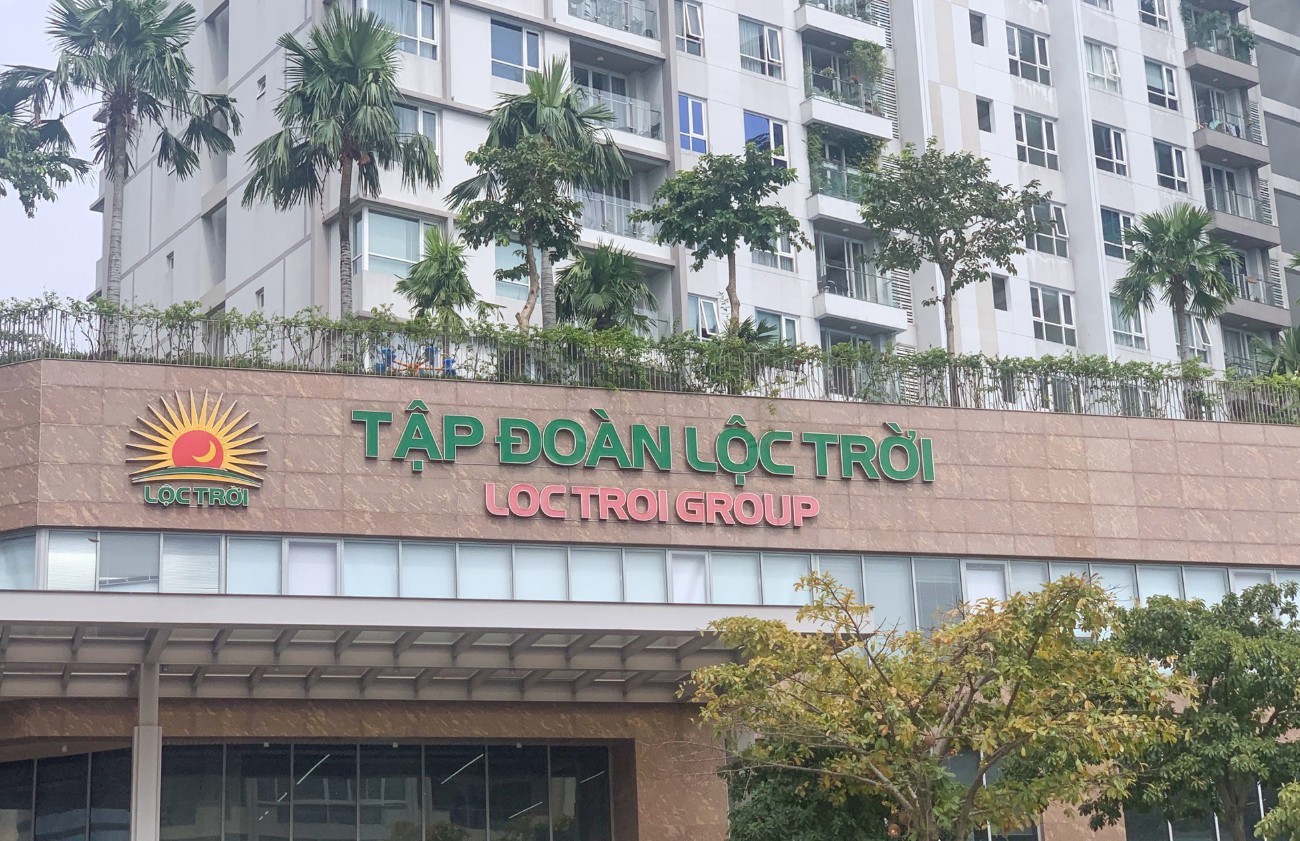 Chậm công bố một số BCTC, Lộc Trời bị xử phạt hành chính - Ảnh 1.
