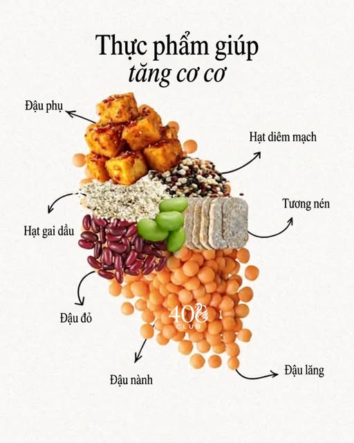 Ăn đúng sau tuổi 40: Một chiếc đĩa đủ màu sắc có thể mang lại nhiều lợi ích hơn bạn nghĩ - Ảnh 2.