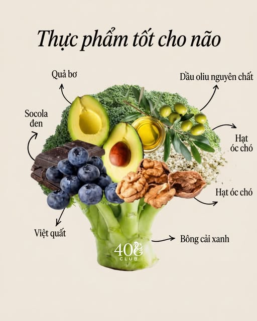 Ăn đúng sau tuổi 40: Một chiếc đĩa đủ màu sắc có thể mang lại nhiều lợi ích hơn bạn nghĩ - Ảnh 1.