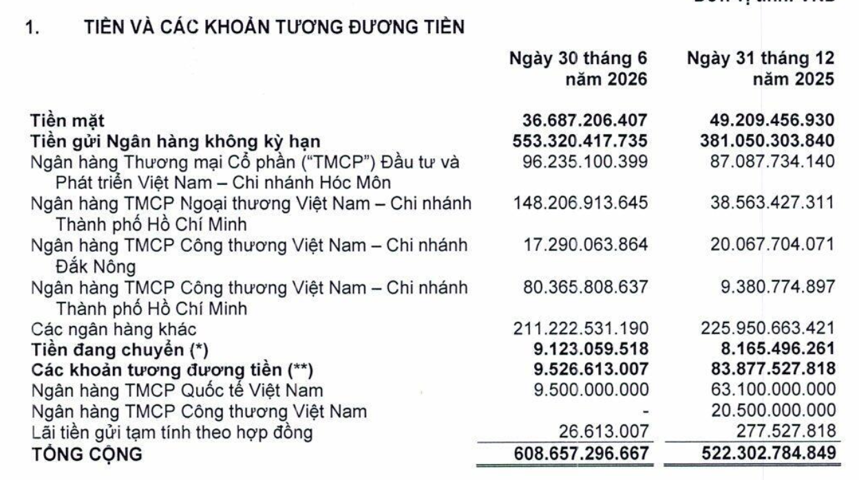 PNJ bất ngờ lỗ gần 300 tỷ quý 2, nắm 4.000 tỷ tiền mặt trước biến cố kim cương - Ảnh 1.