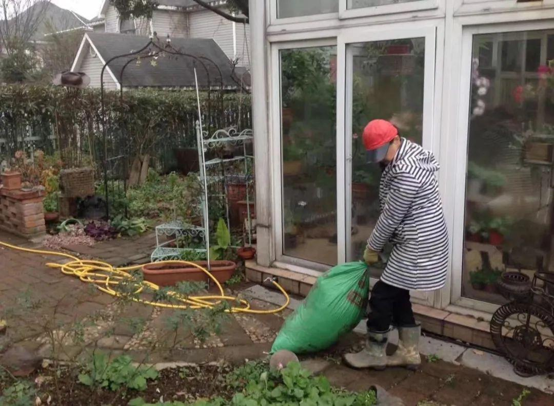 Suốt 20 năm, nữ giáo viên dồn phần lớn tiền tiết kiệm và thời gian rảnh để làm vườn: Thành quả khiến ai nhìn cũng ao ước- Ảnh 11.