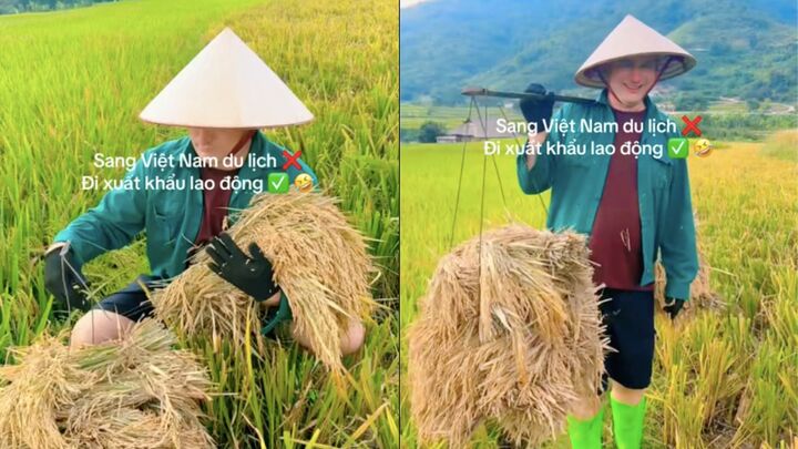 Biểu cảm của chú trâu ở Hội An khi nhóm trẻ con Tây chạm vào sừng hút 1 triệu người - Ảnh 3.