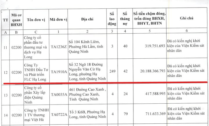 Quảng Ninh công khai 49 doanh nghiệp trốn đóng BHXH, BHYT, BHTN: FLC Hạ Long bị kiến nghị khởi kiện- Ảnh 2.