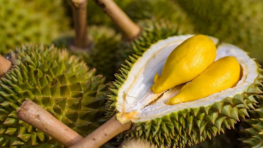 Sau Trung Quốc, Việt Nam chính thức khai phá 'mỏ vàng' sầu riêng 1,4 tỷ dân: Thái Lan, Malaysia cũng đang chạy đua - Ảnh 1.