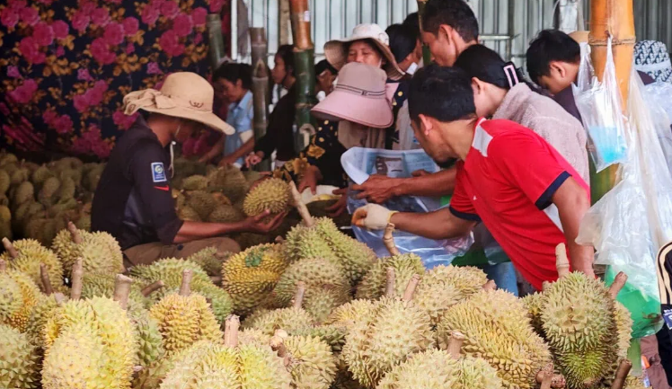Chưa kịp mừng vì xuất khẩu sang Trung Quốc tăng mạnh, sầu riêng Campuchia lại gặp sóng gió - Ảnh 1.