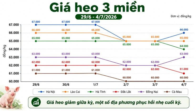 Thị trường hàng hóa tuần qua (29/6 - 4/7): Gạo khởi sắc, hồ tiêu giảm mạnh, cao su và heo hơi giằng co- Ảnh 4.
